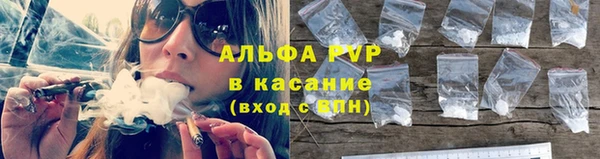прущие грибы Алзамай