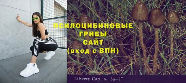 спиды Алексин