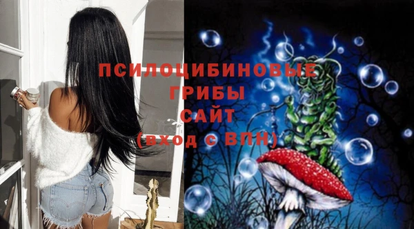 прущие грибы Алзамай