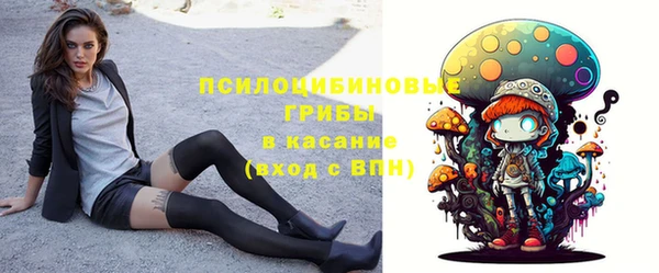 круглые Алексеевка