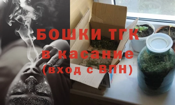 прущие грибы Алзамай